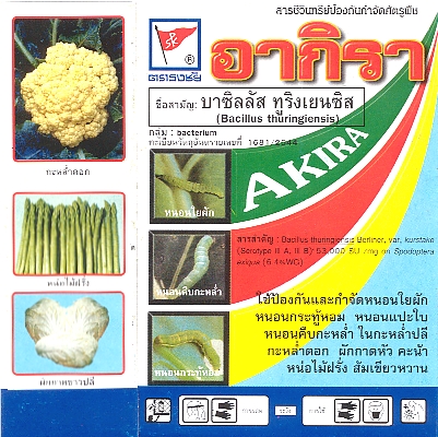 êԹͧѹӨѴѵپת Դ